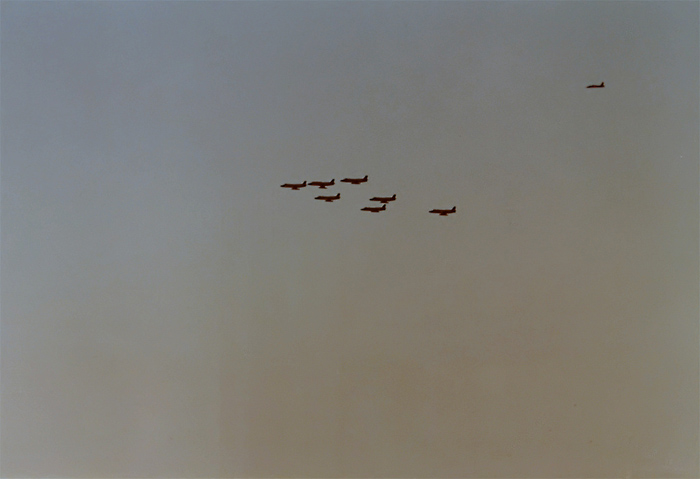 AM29A.JPG