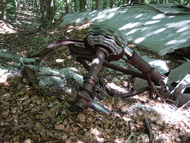 I-TAVI-16.jpg
