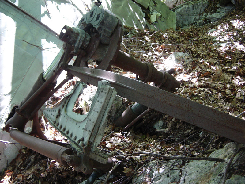 I-TAVI-19.jpg