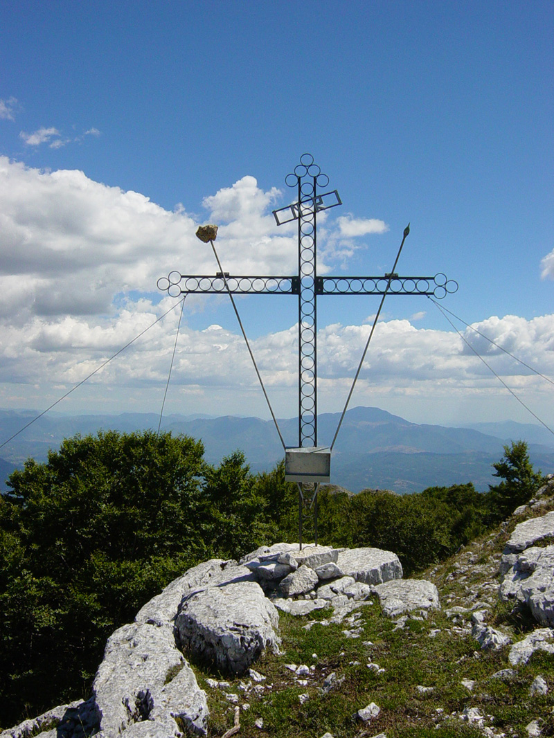 I-TAVI-2.jpg