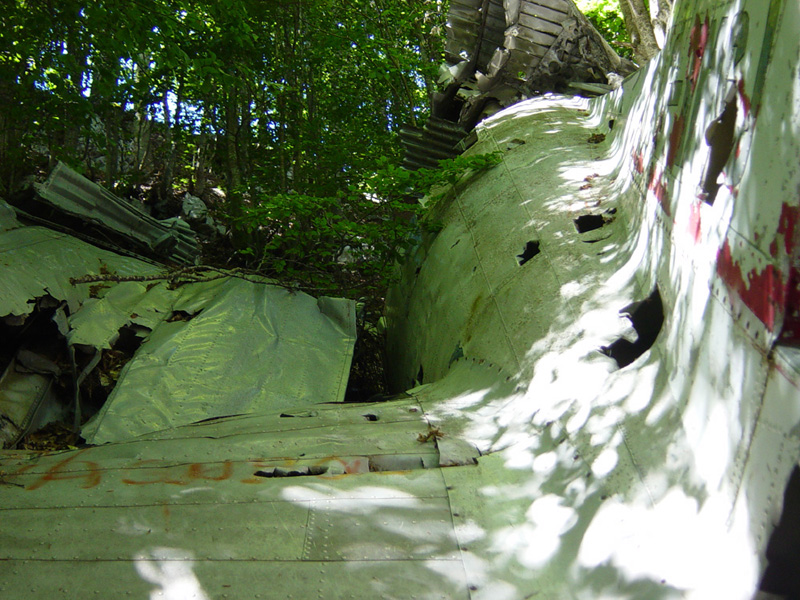I-TAVI-36.jpg