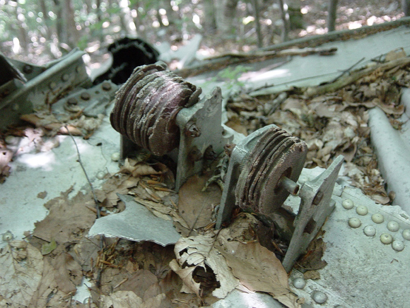 I-TAVI-48.jpg