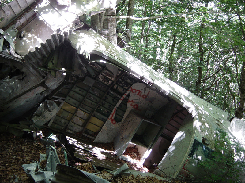 I-TAVI-7.jpg