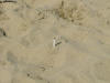 DSCF1221.jpg (226125 byte)