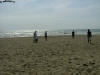 DSCF1253.jpg (125434 byte)