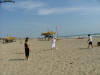DSCF1261.jpg (109720 byte)