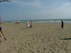 DSCF1267.jpg (117706 byte)