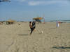 DSCF1268.jpg (117757 byte)