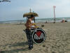 DSCF1293.jpg (142695 byte)