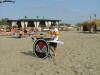 DSCF1296.jpg (142022 byte)