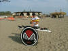 DSCF1469.jpg (144240 byte)