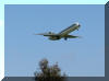 foto 006a.jpg (146999 byte)